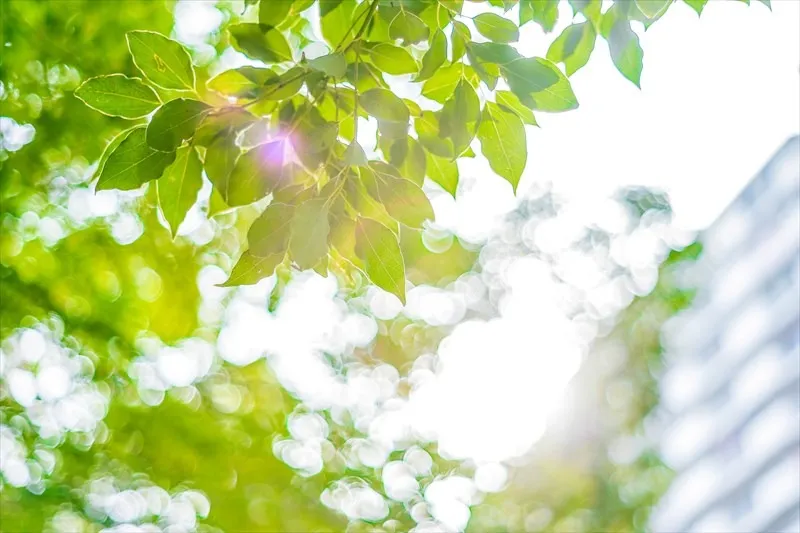 訪問看護ステーション ホームナーシングNickey